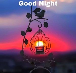 1227+ Cute Good Night Images | Lovely Good Night Images Download
