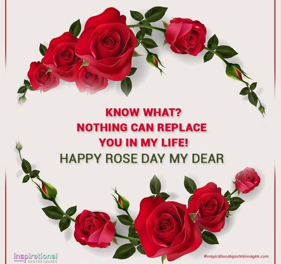 Happy Rose Day Quotes, Status, Images, Pics, Wallpapers, Sms - | | Inspirational Quotes Images