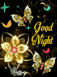 Good night GIF funny love for whatsapp for him & her free download – social lover