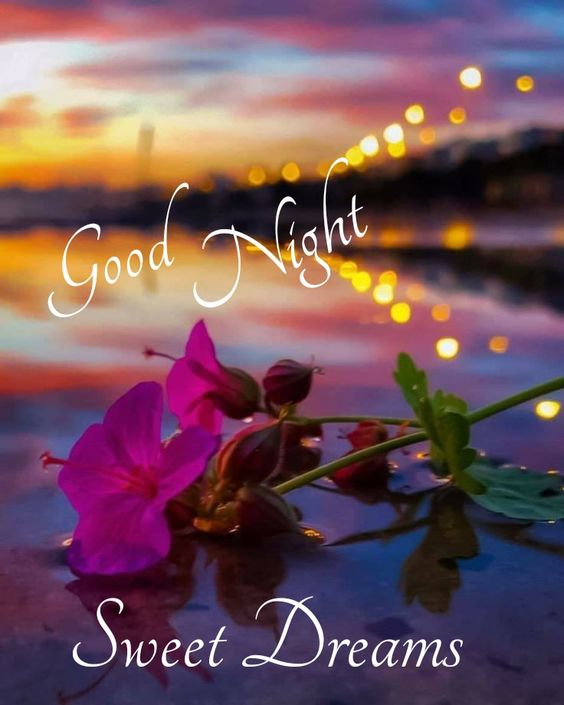 Good Night Wallpapers 1080p Hd Best Pictures, Images & Photos 2023