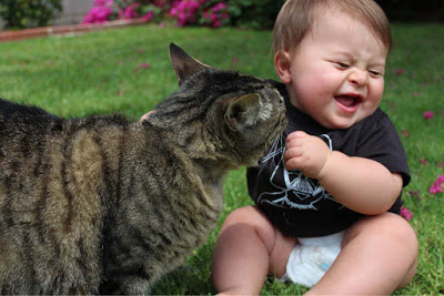 Cute-Baby-With-Cat-Funny-Hd-Wallpaper