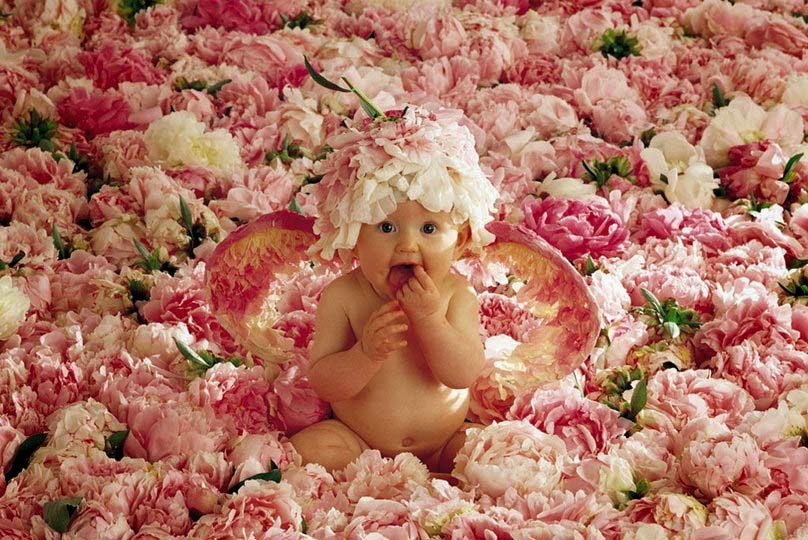 Cute-Baby-Seatting-In-Flowers