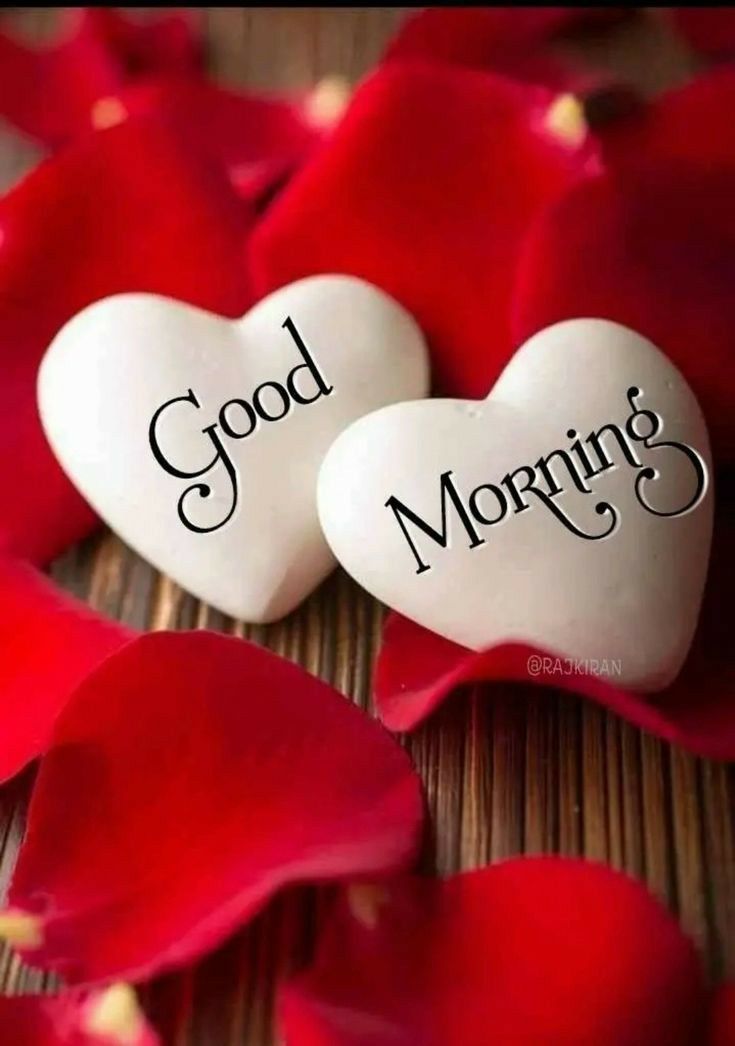 Love Good Morning Wallpaper 2023 HD Images Free Download
