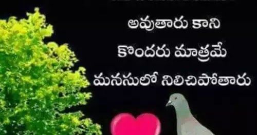 18++ Good Morning Quotes Inspirational In Telugu