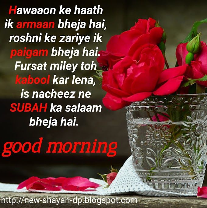 30 Good Morning Love Shayari Image Download Good Morning Shayari Pic Good Morning Shayari With Image 2021 Which you can share on fb and whatsapp status. 30 good morning love shayari image
