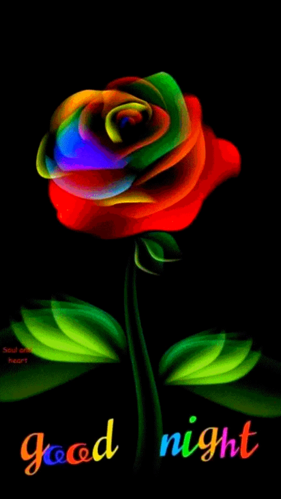 Good Night Flower Video For Your Loved Ones Download Now