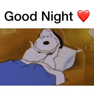Good Night Snoopy – ? TAP INSTALL BUTTON FOR SNOOPY STICKERS ?
