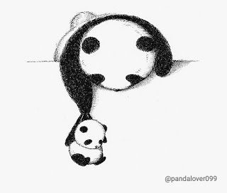 796+Best Panda’s images Dp in 2020| Panda bear, Panda love pic of panda – tikimages