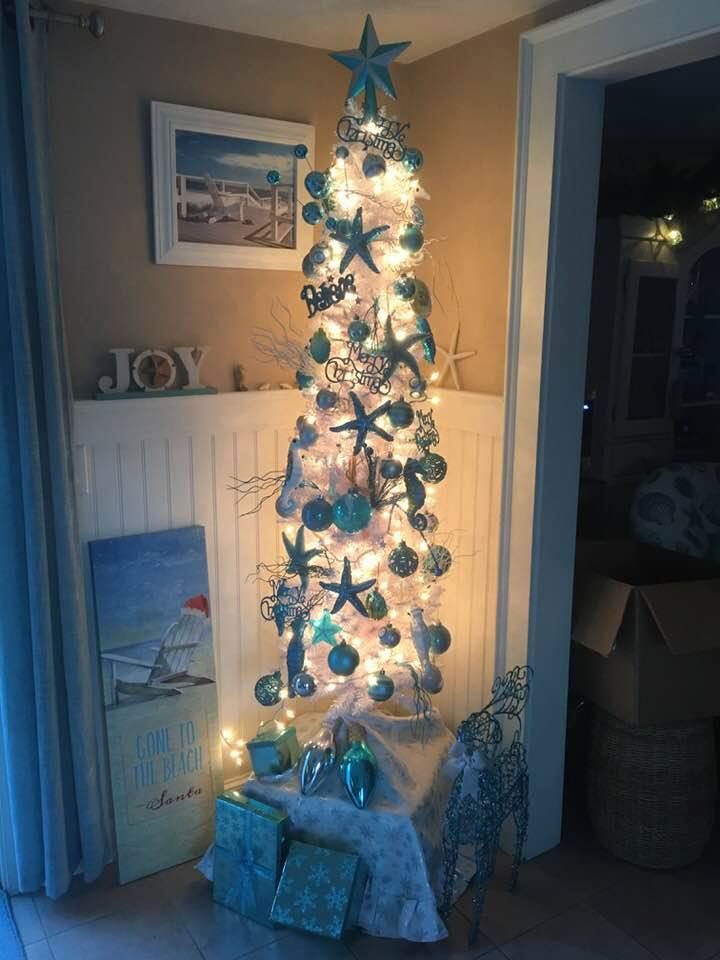 Amazing Coastal Christmas Trees