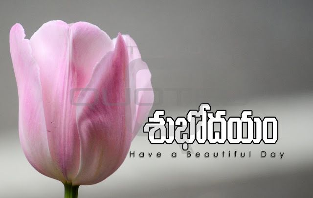 Telugu Good Morning Images Quotes Hd