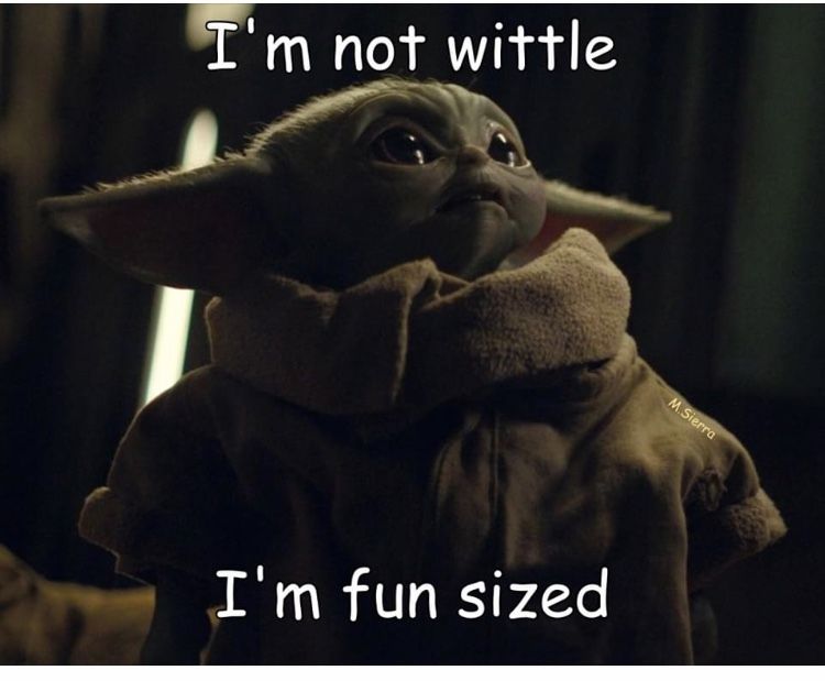 Baby Yoda – Little, fun size