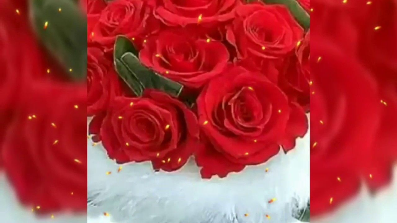Beautiful Bouquet Flowers Images Whatsapp Status Video ?