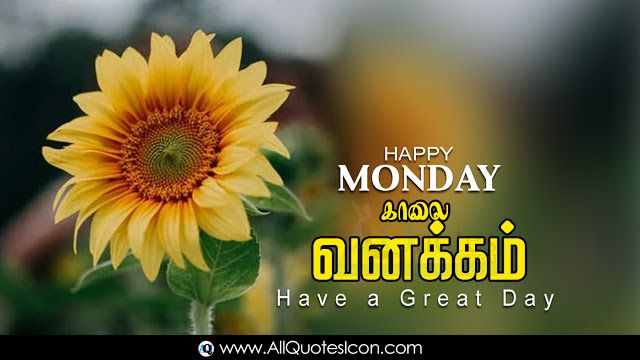 Beautiful Happy Monday Good Morning Quotes in Tamil Images HD Wallpapers Best Life Inspiration Quotes in Tamil Whatsapp Pictures Online Good Morning Tamil Quotes Free Download