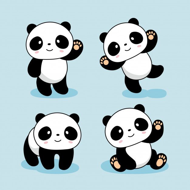 Cute Baby Panda Cartoon Animals