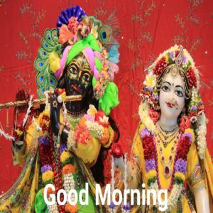 49+ Radha Krishna Good Morning Images For WhatsApp | Facebook Status And DP  2023