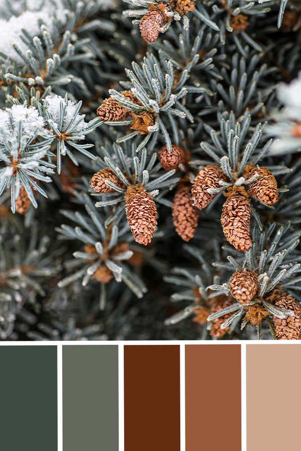 Forest Green Christmas Fir Tree Print, Color Palette Inspiration, Christmas Decor Printable Art