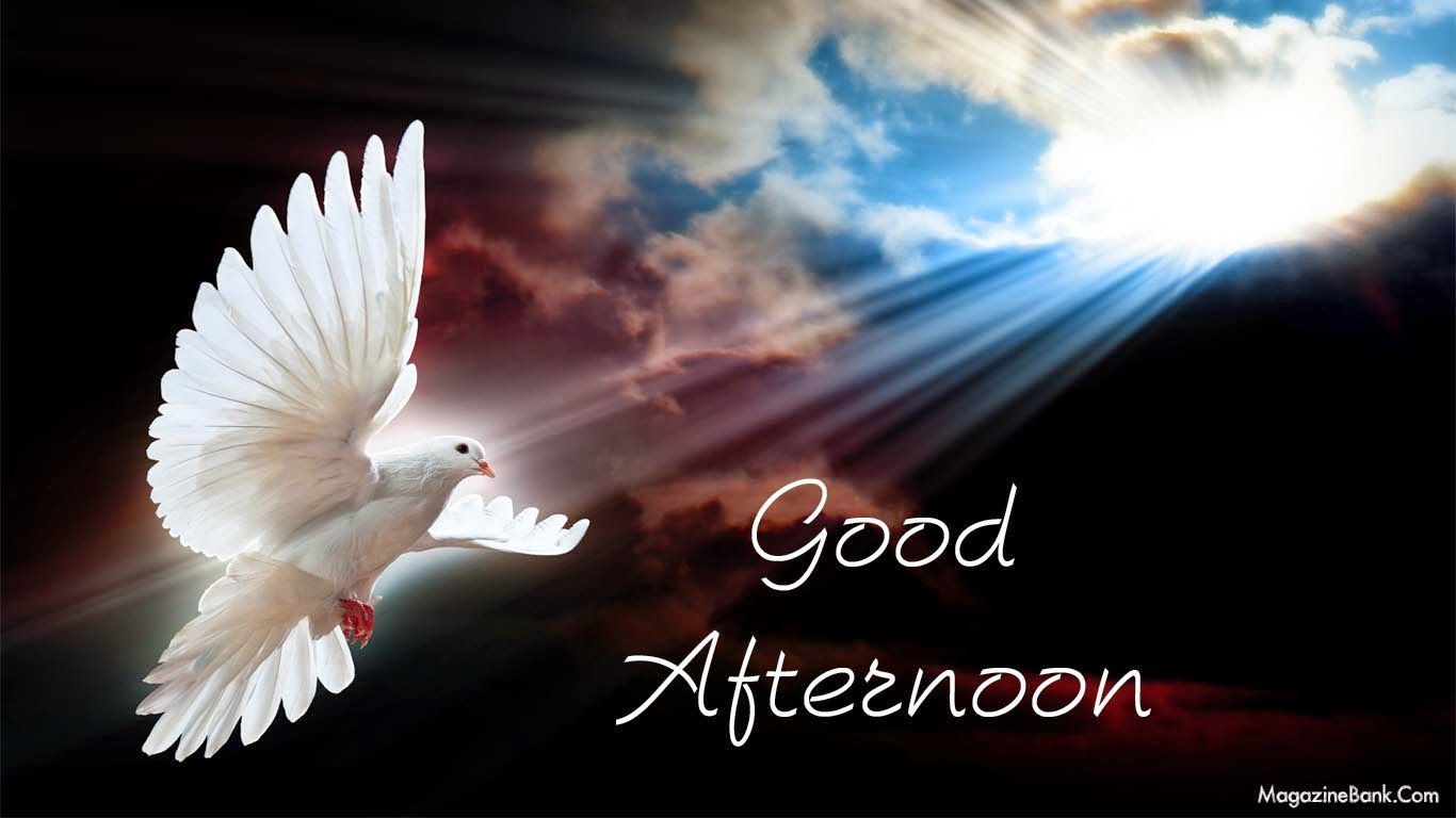 Good Afternoon Images Wallpaper Hd