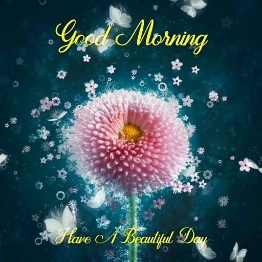 Good Morning Flowers Video, Good Morning, Flowers, Beautiful Video