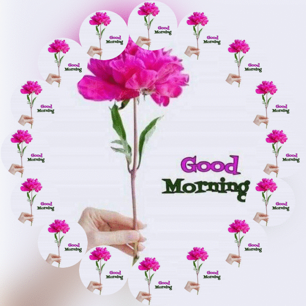 Good Morning Gif Animation Images And Videos More