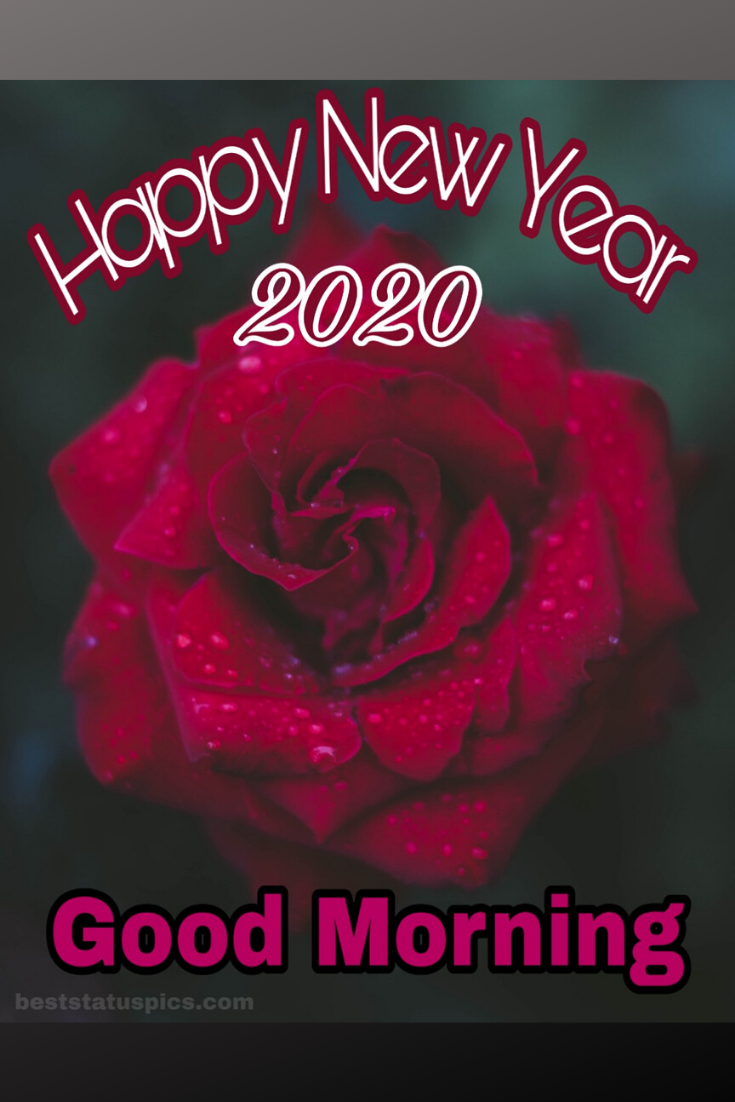 Good Morning Happy New Year 2020 Whatsapp Status Pictures