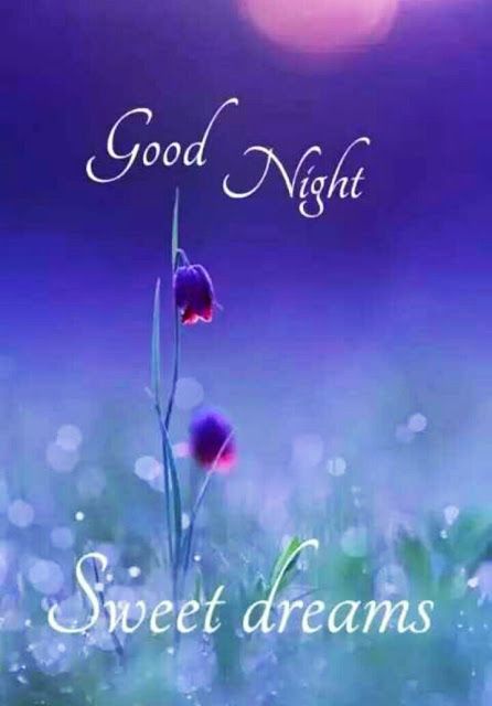 Good Night Images For Whatsapp || Beautiful Good Night Images For Whatsapp || Good Night Shayari