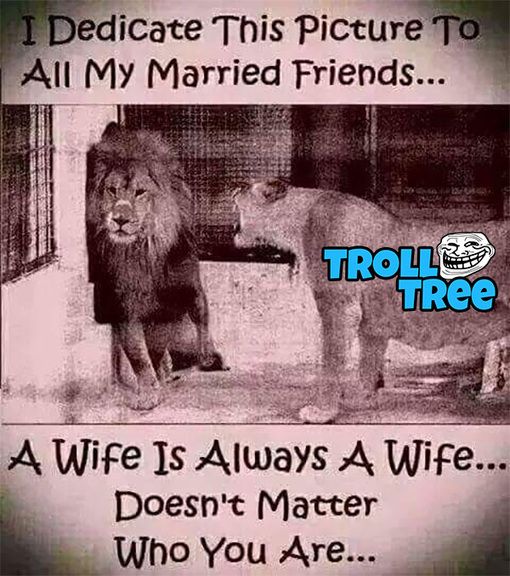 Husband & Wife Funny Jokes & Pictures - Trolltree | TrollTree - Funny  Punjabi & Hindi Trolls & Pictures 2023