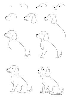 Kids Drawing, Dogs Drawing, Simple Dog Drawing, Drawing Step, Easy Dog Drawing, Simple Drawing