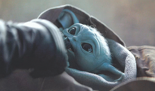 Mandalorian Baby Yoda GIF – Mandalorian BabyYoda BabyYodaBite – Discover & Share GIFs
