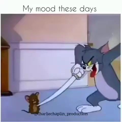 My Mood | Tom and Jerry