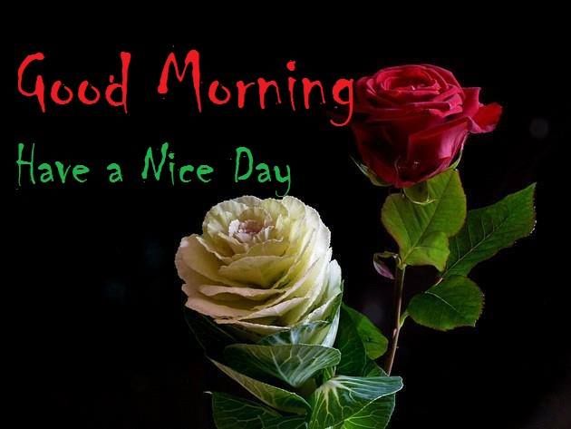 New 41+ Good Morning Images Pictures Download