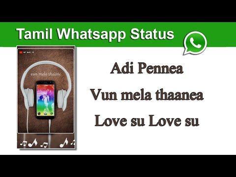 Tamil Whatsapp Status | ?Adi Pennea Vun Mela Thaanea Love Su Love Su? | Love Whatsapp Status