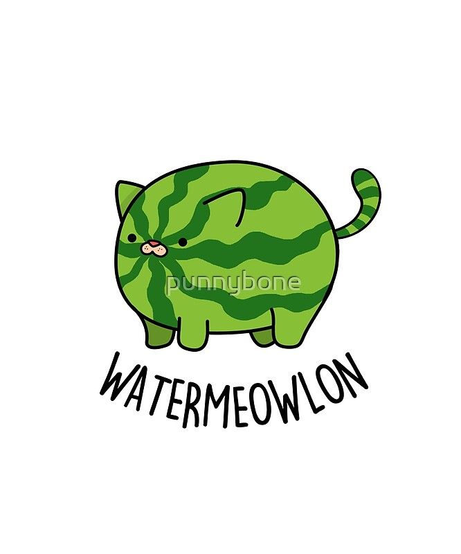'Watermeowlon Animal Pun' Sticker by punnybone