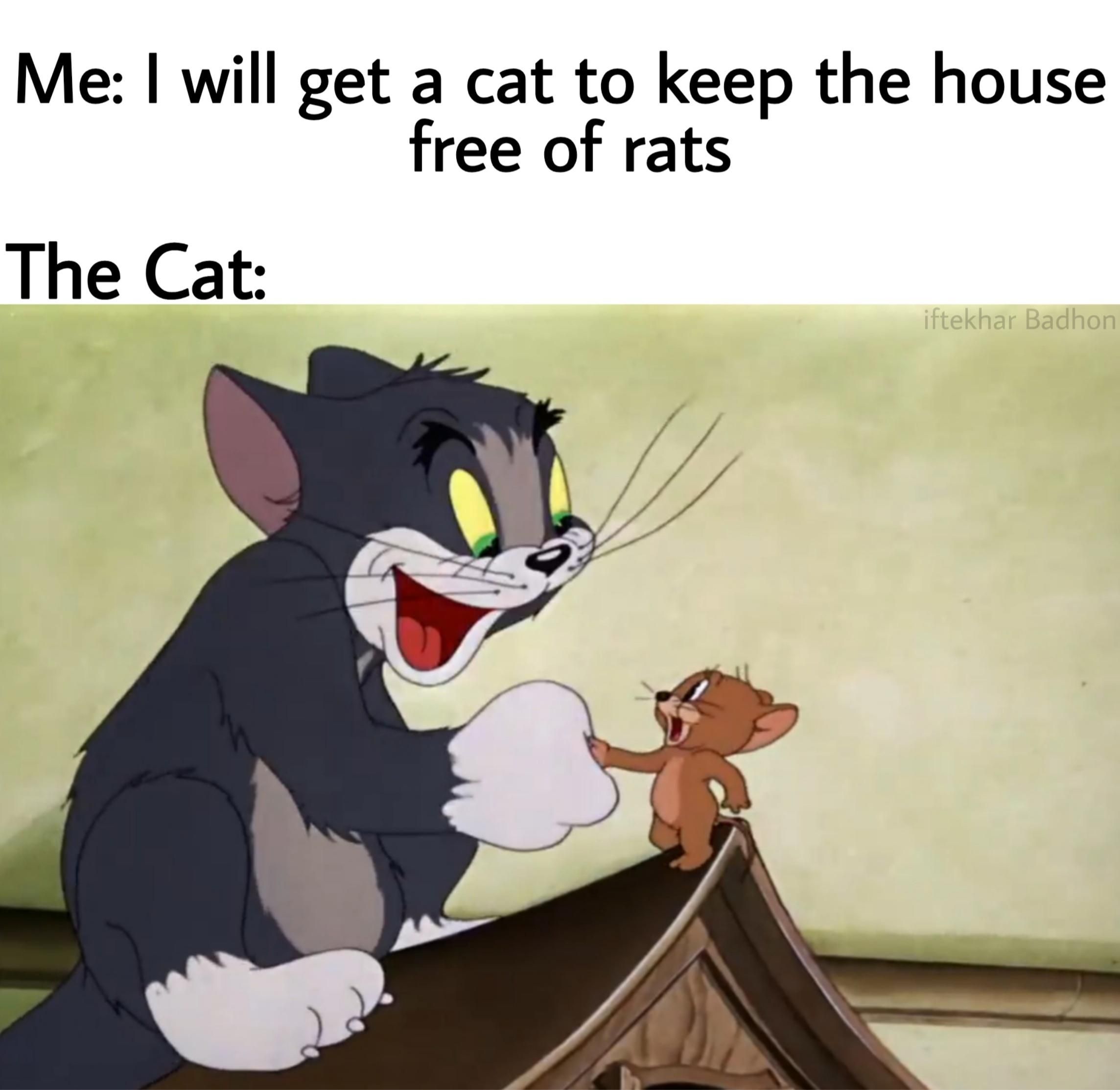 I Think Its Wholesome Meme For Tom And Jerry Lovers