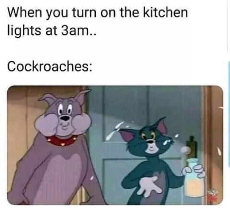 Meme Checkpoint 107 3 Tom And Jerry