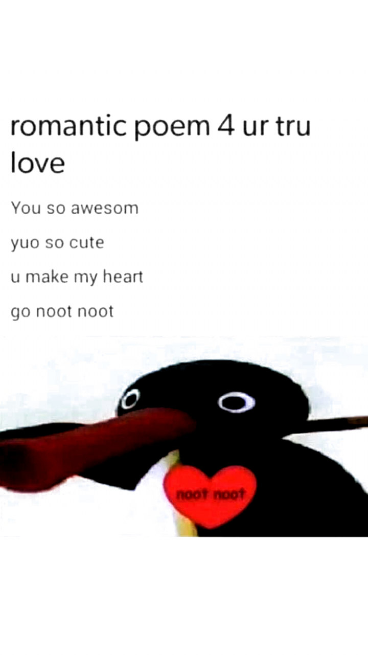 You Make My Heart Go Noot Noot Rwholesomememes