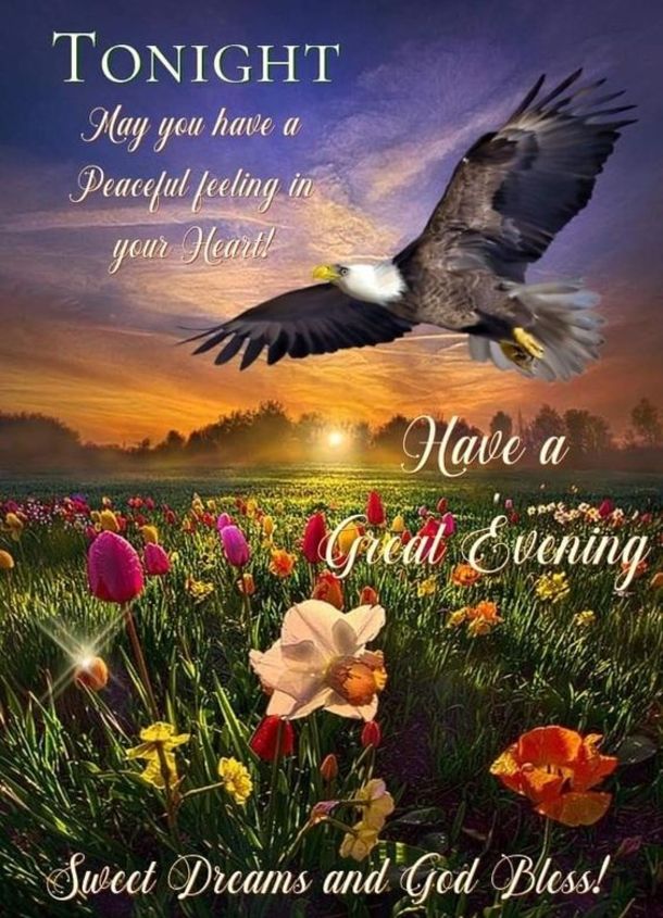 10 Good Evening & Good Night Blessings To End Your Day