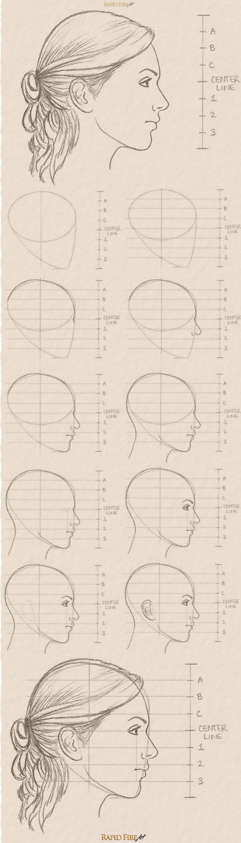 11 steps on how to draw a female face (side view)