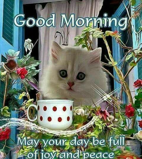 1596942476 Good morning sister and yours have a nice Wednesday God 1596942476 Good morning sister and yours have a nice Wednesday God