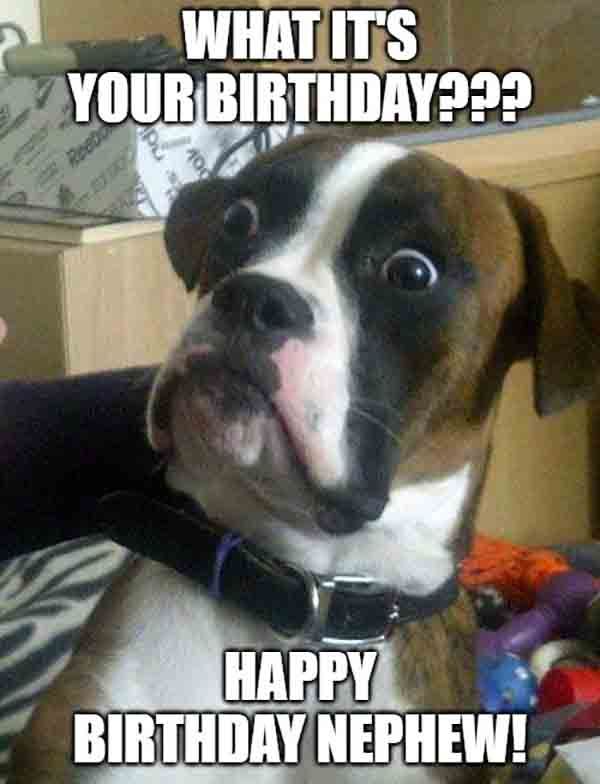 21 Amusing Happy Birthday Nephew Meme Images