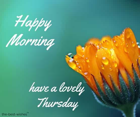 30 Good Morning Thursday Wishes To Kickstart Your Day