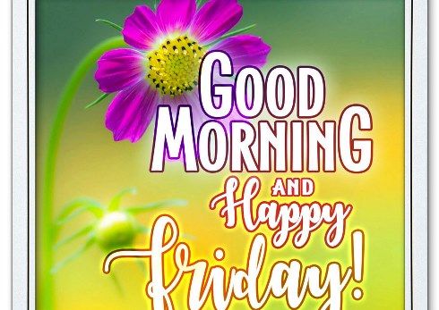 Beautiful Good Morning Friday Images With Wishes