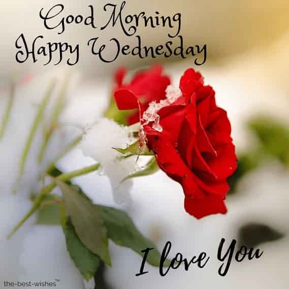 Best Good Morning Wednesday Wishes Images And Greetings 2020