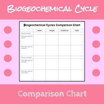 Biogeochemical Cycles Comparison Chart