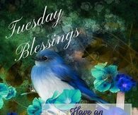 Blue Bird Tuesday Blessings