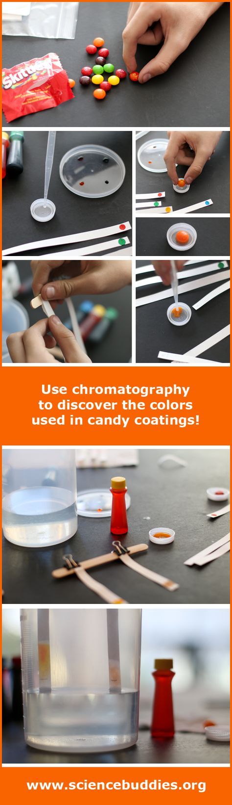 Candy Color Chromatography | Science Buddies Blog