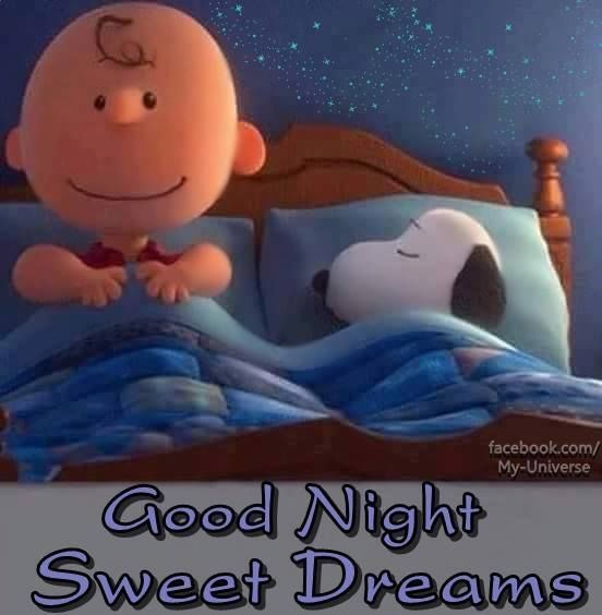 Charlie & snoopy Good night sweet dreams
