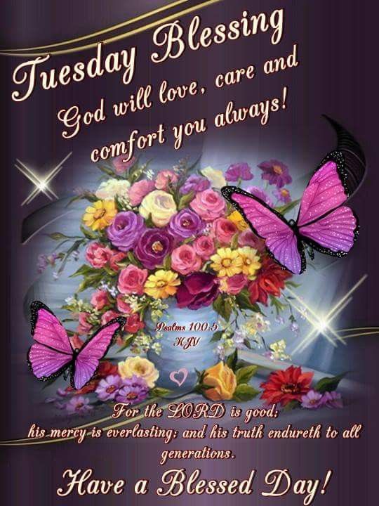God will love, care and comfort you always! Tuesday Blessing