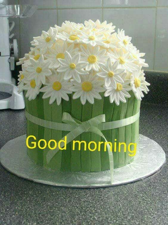 Good Morning Flower Images Download For WhatsApp – Best Good Morning Flowers Images – Beautiful Good