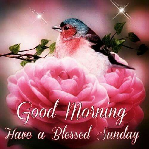 Good Morning, Have A Blessed Sunday
