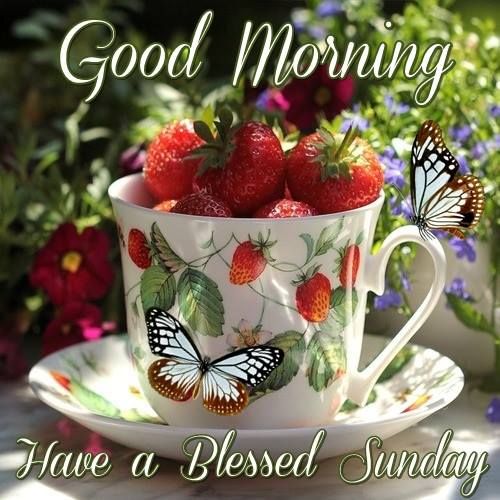 Good Morning. Have a Blessed Sunday.